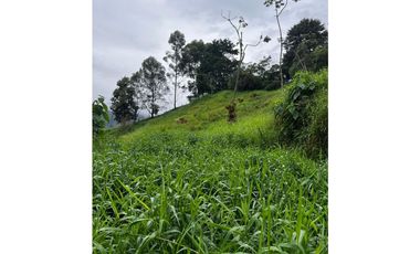 Venta o VENCAMBIO Lote en Caldas por apartamento en el sector Laureles