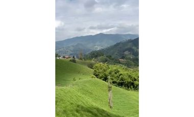 Venta o VENCAMBIO Lote en Caldas por apartamento en el sector Laureles