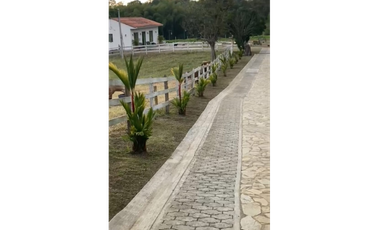 SE VENDE FINCA ENTRE  FILANDIA Y QUIMBAYA  20 CUADRAS