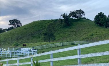 SE VENDE FINCA ENTRE  FILANDIA Y QUIMBAYA  20 CUADRAS