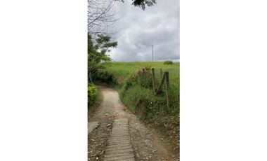 SE VENDE FINCA ENTRE  FILANDIA Y QUIMBAYA  20 CUADRAS