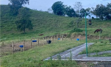 SE VENDE FINCA ENTRE  FILANDIA Y QUIMBAYA  20 CUADRAS