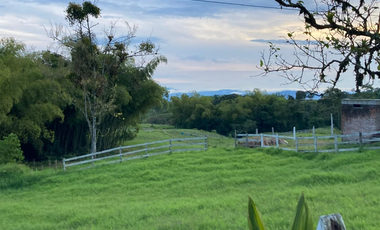 SE VENDE FINCA ENTRE  FILANDIA Y QUIMBAYA  20 CUADRAS
