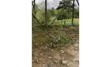 SE VENDE FINCA ENTRE  FILANDIA Y QUIMBAYA  20 CUADRAS