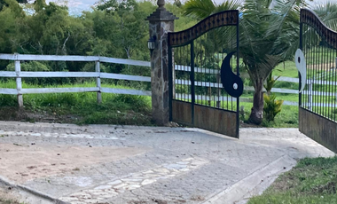 SE VENDE FINCA ENTRE  FILANDIA Y QUIMBAYA  20 CUADRAS