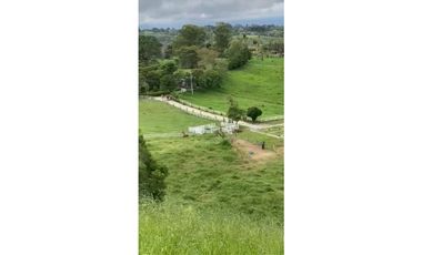 SE VENDE FINCA ENTRE  FILANDIA Y QUIMBAYA  20 CUADRAS
