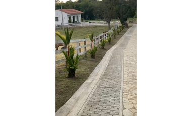 SE VENDE FINCA ENTRE  FILANDIA Y QUIMBAYA  20 CUADRAS