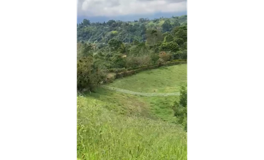 SE VENDE FINCA ENTRE  FILANDIA Y QUIMBAYA  20 CUADRAS