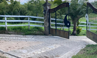 SE VENDE FINCA ENTRE  FILANDIA Y QUIMBAYA  20 CUADRAS