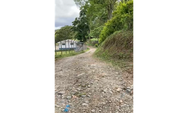 SE VENDE FINCA ENTRE  FILANDIA Y QUIMBAYA  20 CUADRAS