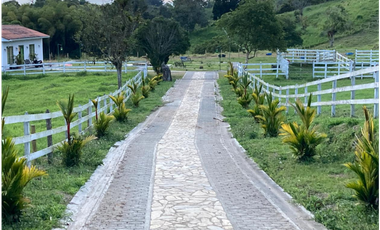 SE VENDE FINCA ENTRE  FILANDIA Y QUIMBAYA  20 CUADRAS