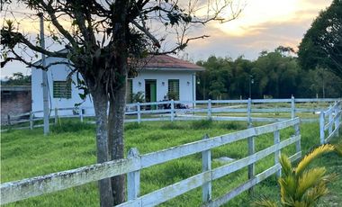 SE VENDE FINCA ENTRE  FILANDIA Y QUIMBAYA  20 CUADRAS