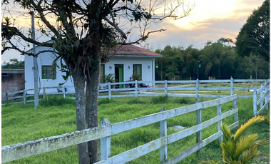 SE VENDE FINCA ENTRE  FILANDIA Y QUIMBAYA  20 CUADRAS