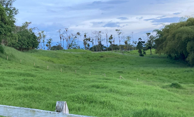 SE VENDE FINCA ENTRE  FILANDIA Y QUIMBAYA  20 CUADRAS