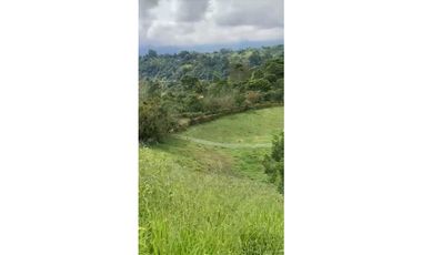 SE VENDE FINCA ENTRE  FILANDIA Y QUIMBAYA  20 CUADRAS