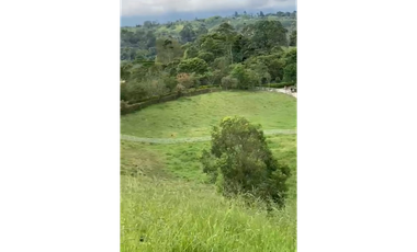 SE VENDE FINCA ENTRE  FILANDIA Y QUIMBAYA  20 CUADRAS
