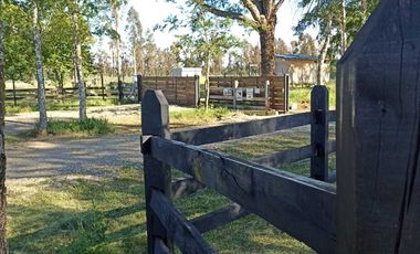 Parcela en arriendo en PITRUFQUÉN