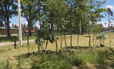 Parcela en arriendo en PITRUFQUÉN