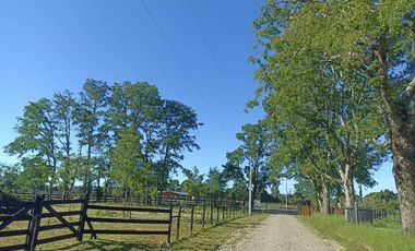 Parcela en arriendo en PITRUFQUÉN