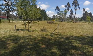 Parcela en arriendo en PITRUFQUÉN
