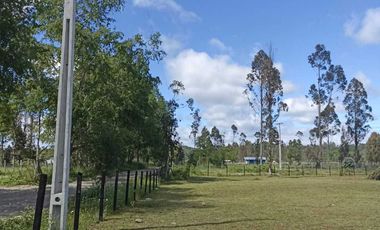 Parcela en arriendo en PITRUFQUÉN