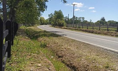 Parcela en arriendo en PITRUFQUÉN