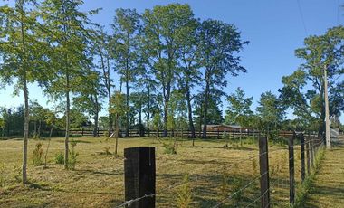 Parcela en arriendo en PITRUFQUÉN