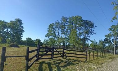 Parcela en arriendo en PITRUFQUÉN