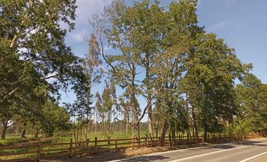 Parcela en arriendo en PITRUFQUÉN