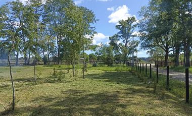 Parcela en arriendo en PITRUFQUÉN