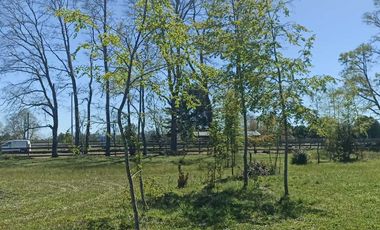 Parcela en arriendo en PITRUFQUÉN