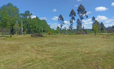 Parcela en arriendo en PITRUFQUÉN