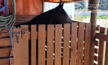 Casa en Venta en Avenida Anselmo Alarcon