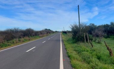 Parcela en Venta en Orilla de Ruta Pavimentada en Marchigüe