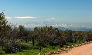 Parcela en Venta en Orilla de Ruta Pavimentada en Marchigüe