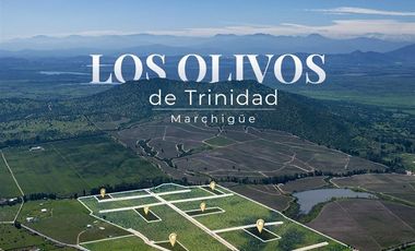 Parcela en Venta en Orilla de Ruta Pavimentada en Marchigüe