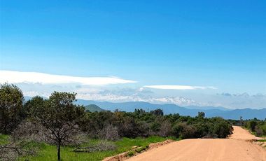 Parcela en Venta en Orilla de Ruta Pavimentada en Marchigüe