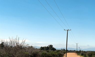 Parcela en Venta en Orilla de Ruta Pavimentada en Marchigüe
