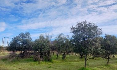 Parcela en Venta en Orilla de Ruta Pavimentada en Marchigüe