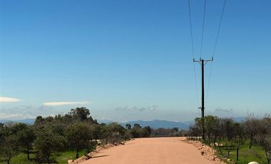 Parcela en Venta en Orilla de Ruta Pavimentada en Marchigüe