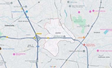 1 Hectare of Land for Rent in Valenzuela City near NLEX