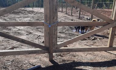 VENDO PARCELA CON CERCO Y PORTON CONSTITUCION RUTA L30M KM 9