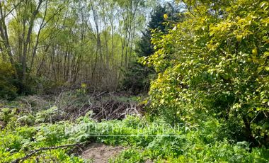 Terreno Camino a Santa Juana