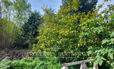 Terreno Camino a Santa Juana