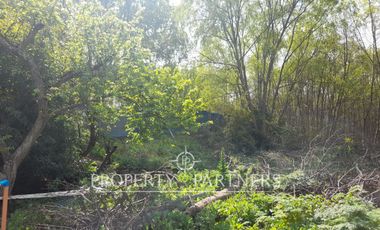 Terreno Camino a Santa Juana