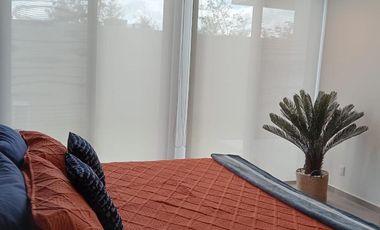 Loft Amueblado en Planta Baja con Jardín en Sophia Distrito Querétaro