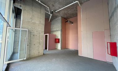 ARRIENDO Local comercial de 55,50 m2, Parque de la Infancia, Recoleta