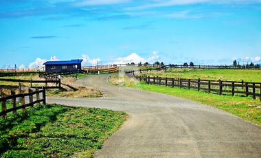 ULTIMA PARCELA EN BRAUNAU PARK A 4KM DE PUERTO VARAS