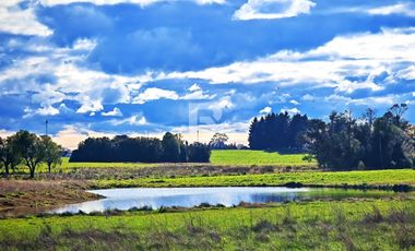 ULTIMA PARCELA EN BRAUNAU PARK A 4KM DE PUERTO VARAS