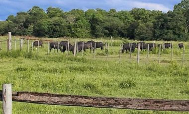 Campo en venta - 230Mts2 - Formosa